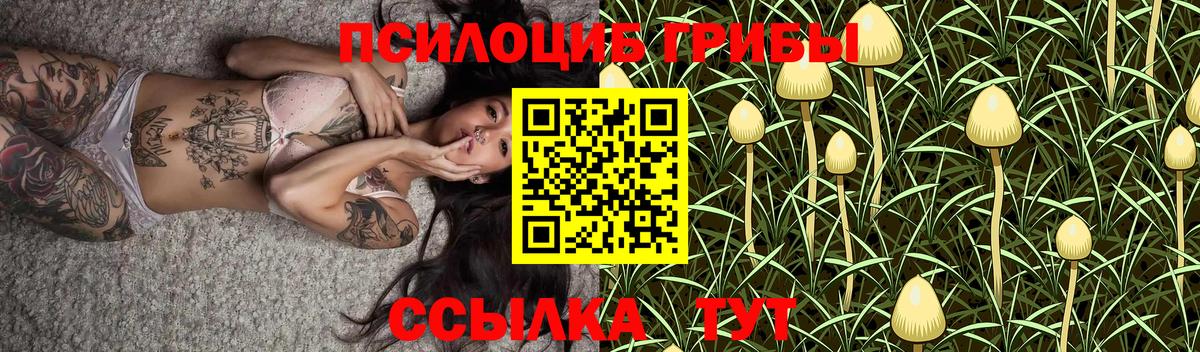 Псилоцибиновые грибы MAGIC MUSHROOMS Кондопога